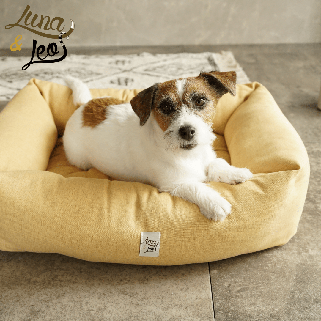 犬猫用ベッド Leo & Luna シッタコレクション - おしゃれなインテリアにも最適|犬猫用ベッド|犬猫用ベッド Leo & Luna シッタコレクション - おしゃれなインテリアにも最適|犬猫用ベッド
