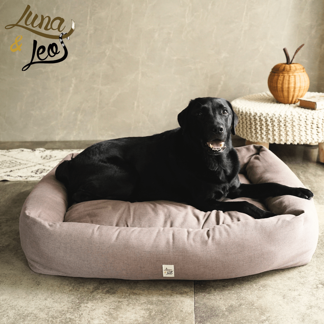 犬猫用ベッド Leo & Luna シッタコレクション - おしゃれなインテリアにも最適|犬猫用ベッド|犬猫用ベッド Leo & Luna シッタコレクション - おしゃれなインテリアにも最適|犬猫用ベッド