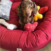 犬猫用ベッド Leo & Luna シッタコレクション スカーレッド| 快適・スタイリッシュでインテリアにも最適|犬猫用ベッド