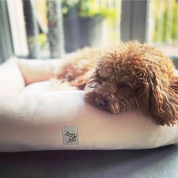 犬猫ベッド Leo & Luna (レオエルナ) ペット用ベッド ベルベット アイボリーベルベット|ペット・ペット用品>ペット用品>犬用品>犬用ベッド|犬猫ベッド Leo & Luna (レオエルナ) ペット用ベッド ベルベット アイボリーベルベット
