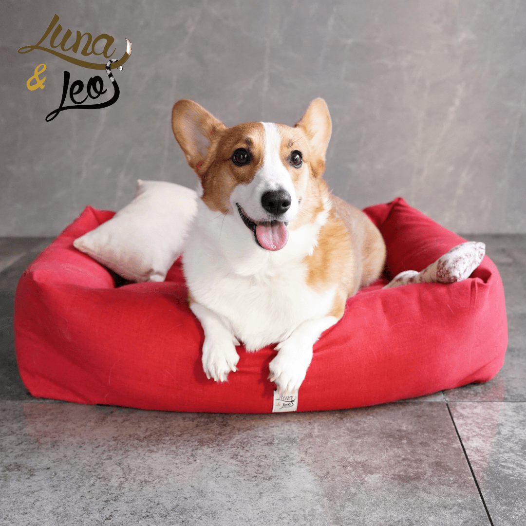 犬猫用ベッド Leo & Luna シッタコレクション - おしゃれなインテリアにも最適|犬猫用ベッド|犬猫用ベッド Leo & Luna シッタコレクション - おしゃれなインテリアにも最適|犬猫用ベッド