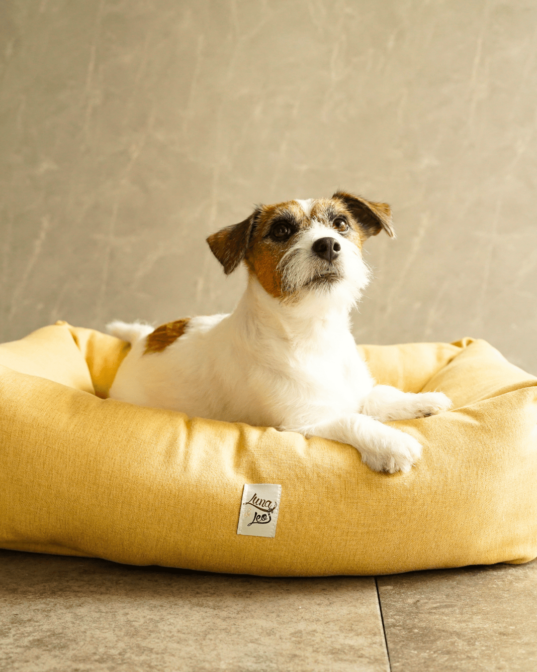 犬猫用ベッド Leo & Luna シッタコレクション - おしゃれなインテリアにも最適|犬猫用ベッド|犬猫用ベッド Leo & Luna シッタコレクション - おしゃれなインテリアにも最適