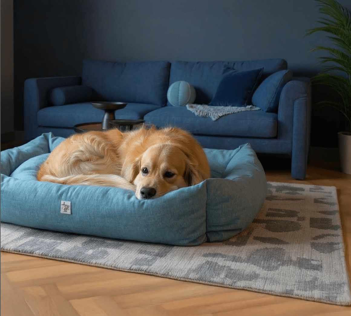 犬用ベッド 洗える カバー交換できる 高級 イタリア製 Leo & Luna|犬猫用ベッド|犬用ベッド 洗える カバー交換できる 高級 イタリア製 Leo & Luna