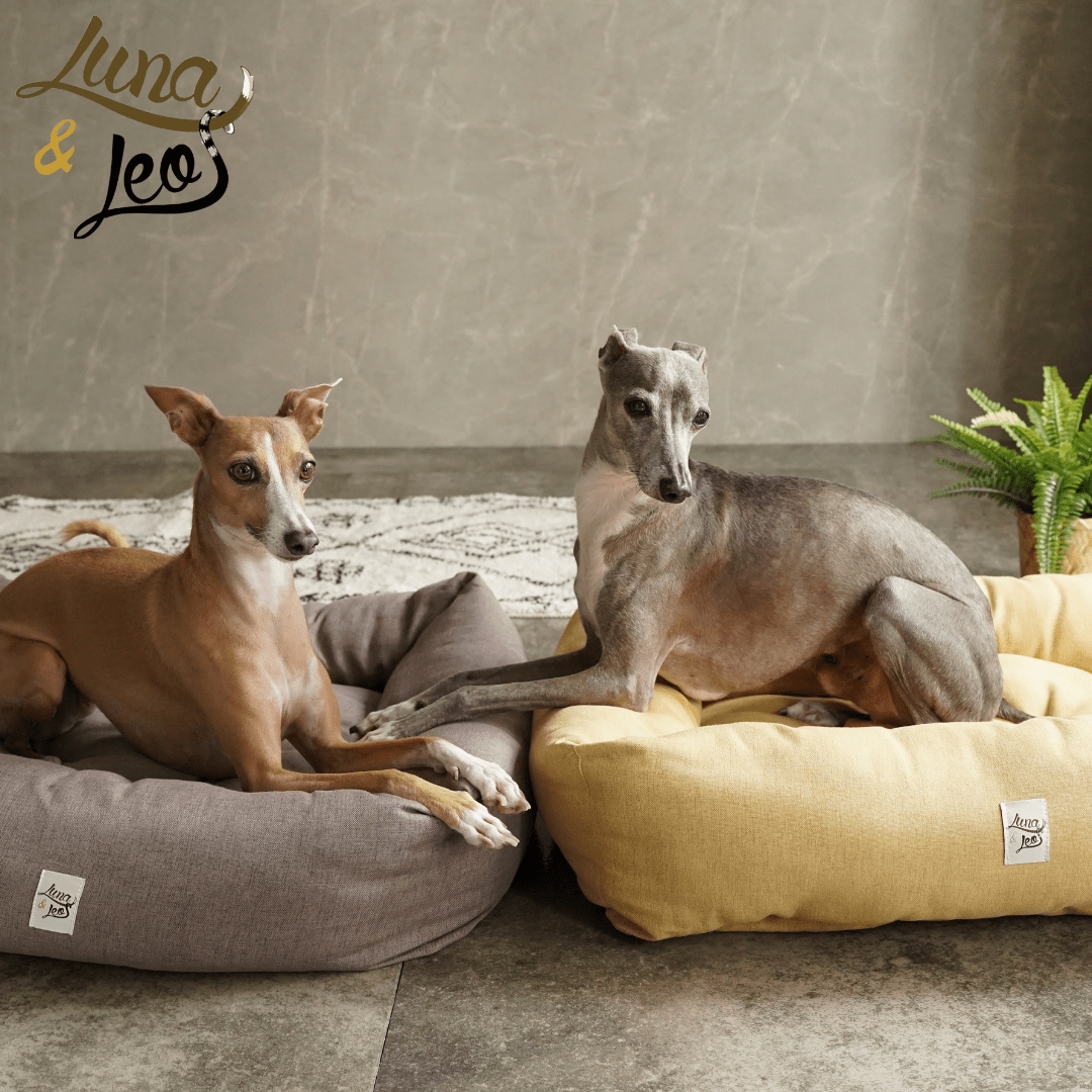 犬猫用ベッド Leo & Luna シッタコレクション - おしゃれなインテリアにも最適|犬猫用ベッド|犬猫用ベッド Leo & Luna シッタコレクション - おしゃれなインテリアにも最適|犬猫用ベッド