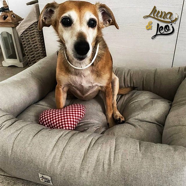 犬猫用ベッド Leo & Luna シッタコレクション グレー| 快適・スタイリッシュでインテリアにも最適|犬猫用ベッド|犬猫用ベッド Leo & Luna シッタコレクション グレー| 快適・スタイリッシュでインテリアにも最適|犬猫用ベッド