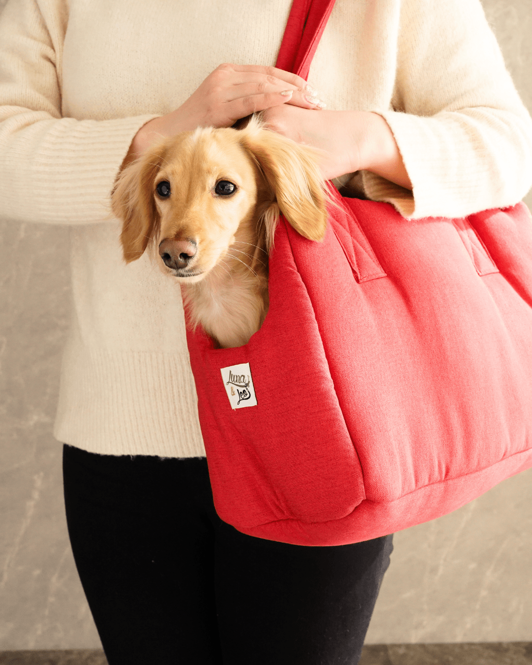 犬用キャリーバッグ 小型犬用| Leo & Luna シッタコレクション 犬用キャリーバッグ 小型犬用| Leo & Luna シッタコレクション
