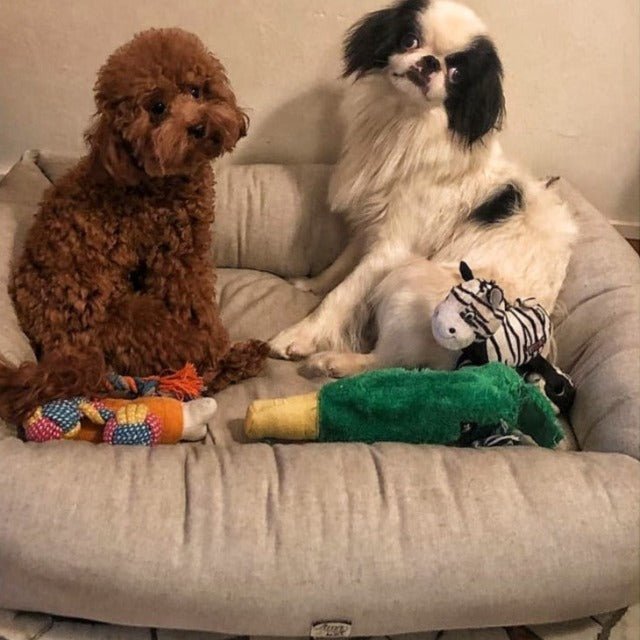 犬猫用ベッド Leo & Luna シッタコレクション アイスグレー| 快適・スタイリッシュでインテリアにも最適|犬猫用ベッド