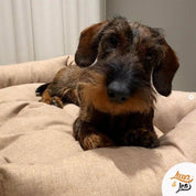 犬猫用ベッド Leo & Luna シッタコレクション バーリーウッド | 快適・スタイリッシュでインテリアにも最適|犬猫用ベッド|犬猫用ベッド Leo & Luna シッタコレクション バーリーウッド | 快適・スタイリッシュでインテリアにも最適|犬猫用ベッド