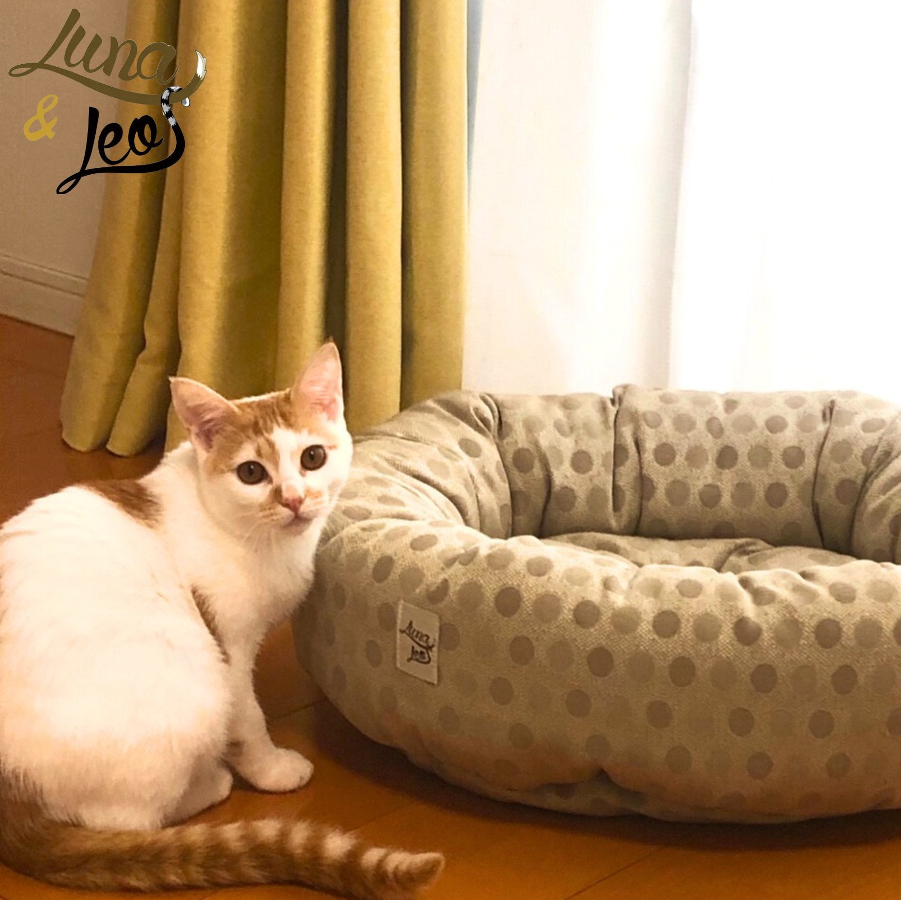 犬猫ベッド Leo & Luna (レオエルナ) ペット用ベッド チェルキオ ブロンド|ベッド|猫ベッド 丸型 Leo & Luna (レオエルナ) ペット用ベッド