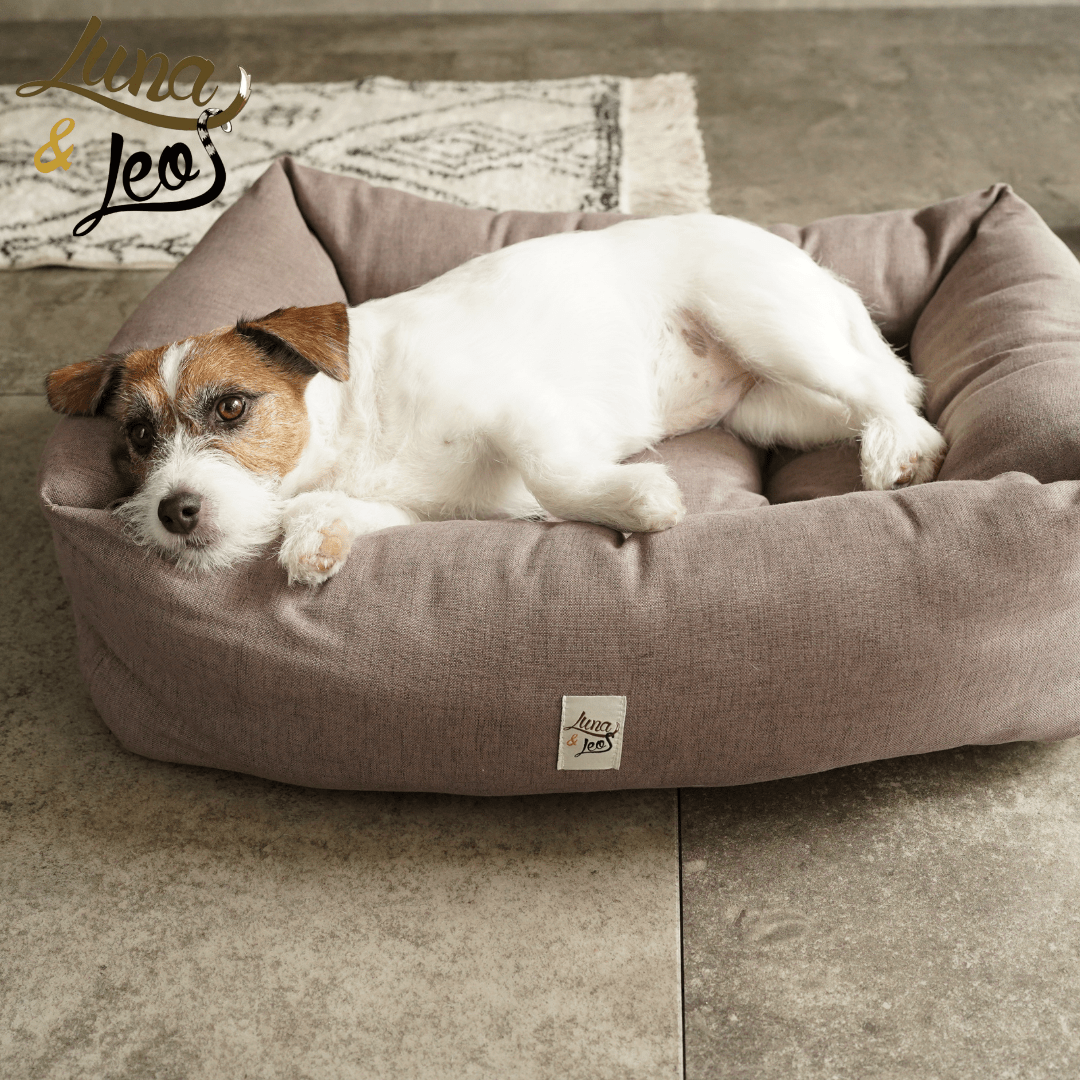 犬猫用ベッド Leo & Luna シッタコレクション - おしゃれなインテリアにも最適|犬猫用ベッド|犬猫用ベッド Leo & Luna シッタコレクション - おしゃれなインテリアにも最適|犬猫用ベッド