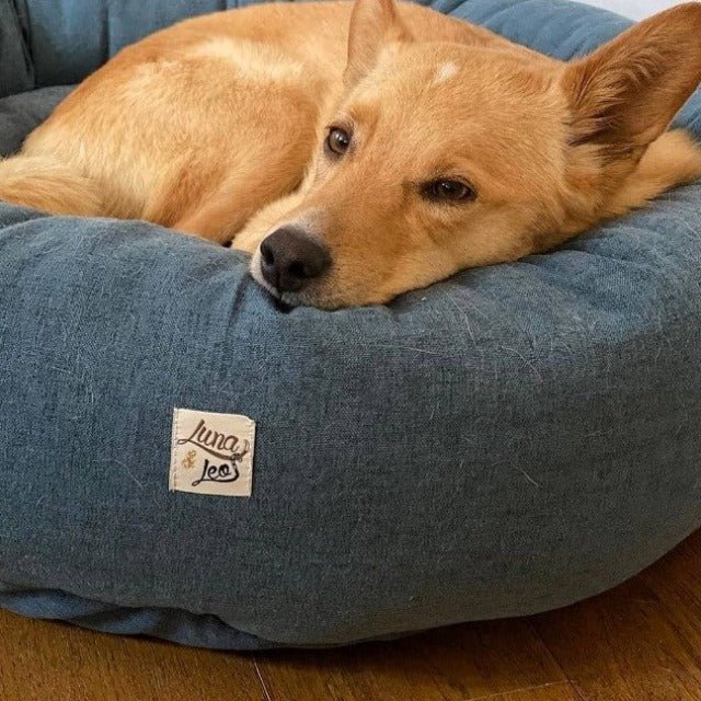 犬猫用ベッド Leo & Luna シッタコレクション スチールブルー| 快適・スタイリッシュでインテリアにも最適|犬猫用ベッド