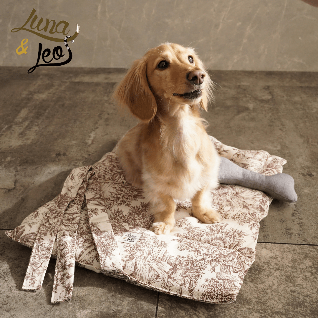 犬用 ロールアップマット Leo & Luna トワルドジュイコレクション|犬用マット|おしゃれなトワルドジュイ柄のLeo & Lunaロールアップマットでくつろぐミニチュアダックスフンド