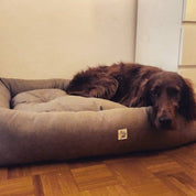 犬猫用ベッド Leo & Luna シッタコレクション ペル | 快適・スタイリッシュでインテリアにも最適|ペット・ペット用品>ペット用品>犬用品>犬用ベッド|犬猫用ベッド Leo & Luna シッタコレクション | 快適・スタイリッシュでインテリアにも最適|犬用ベッド