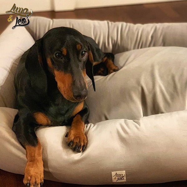 犬猫ベッド Leo & Luna (レオエルナ) ペット用ベッド ベルベット アイボリーベルベット|ペット・ペット用品>ペット用品>犬用品>犬用ベッド|
