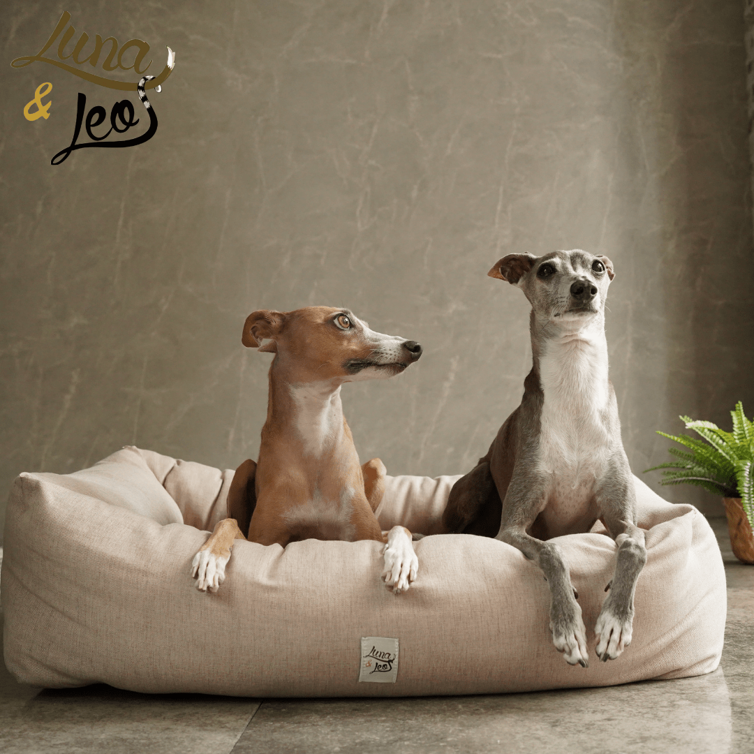 犬猫用ベッド Leo & Luna シッタコレクション - おしゃれなインテリアにも最適|犬猫用ベッド|犬猫用ベッド Leo & Luna シッタコレクション - おしゃれなインテリアにも最適|犬猫用ベッド