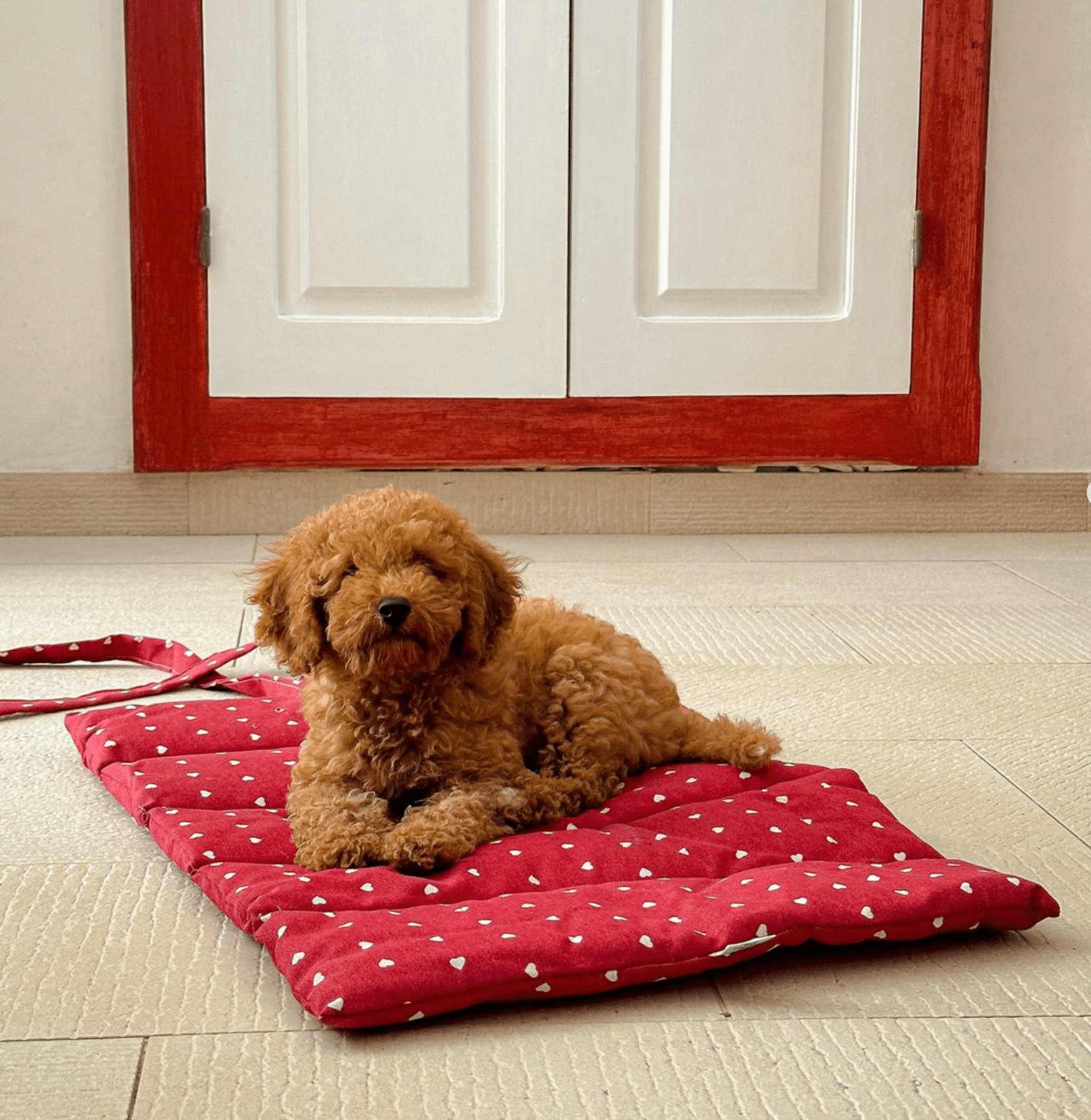 犬用 ロールアップマット Leo & Luna トワルドジュイコレクション|犬用マット|スクリーンショット 2024 - 11 - 25 20.34.56.png__PID:b43c2c38 - 9816 - 49b8 - a090 - 22f277f0abf0