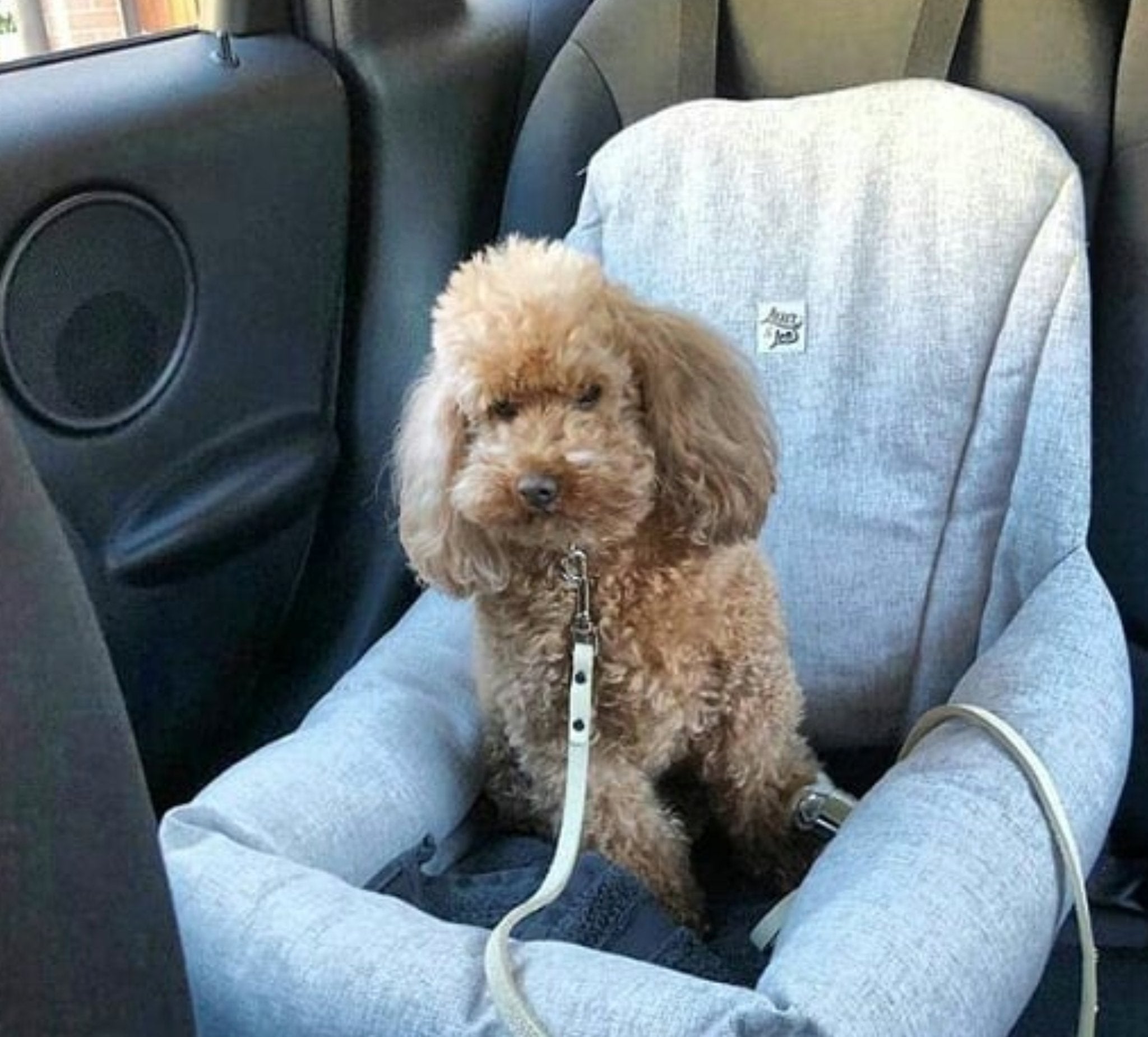 犬用 ドライブ用ベッド プレミアム Leo & Luna - 高級車対応 耐久性抜群|犬用ドライブ用ベッド|犬用ベッド 車用 Leo & Luna - オートコレクション | 快適・安全なドライブ用ペット用ベッド|犬用ドライブ用ベッド