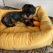 犬猫ベッド Leo & Luna フィオレコレクション カナリーイエロー| 丈夫なクッションと可愛いカラー|犬用ベッド