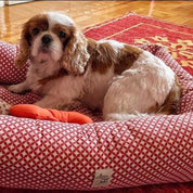犬猫用ベッド Leo & Luna クロワゾンネコレクション トマトレッド | 高級感ある七宝文様デザイン|犬猫用ベッド|犬猫用ベッド Leo & Luna クロワゾンネコレクション トマトレッド | 高級感ある七宝文様デザイン|犬猫用ベッド