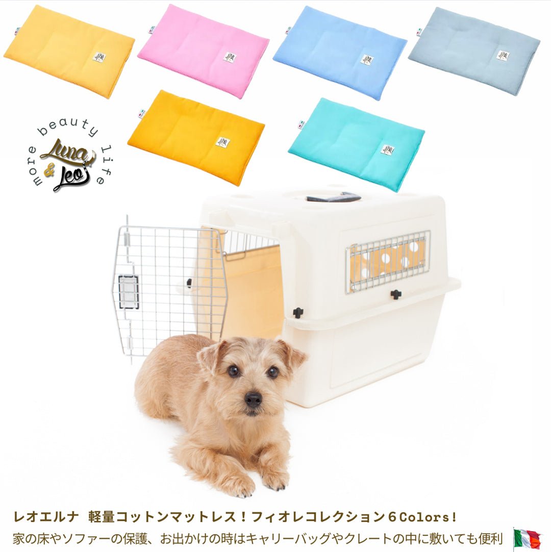 犬猫・ペット用 軽量マット レオエルナ｜カラフルで持ち運びやすいペット用マット – Alice's Dog & Cat