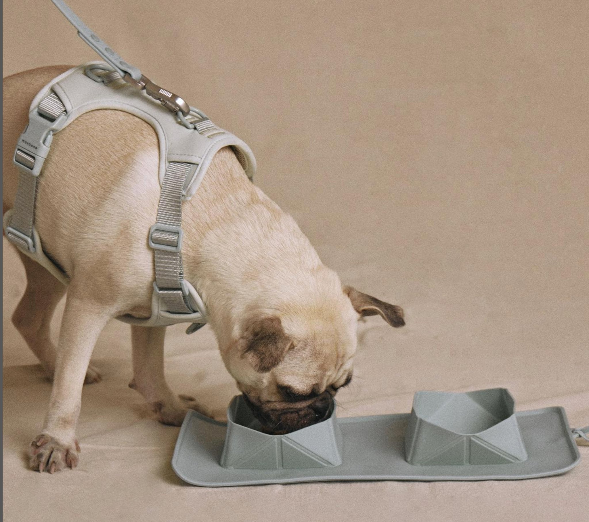maxbone ポータブルボウル|ペット用食器|maxbone ポータブルボウル - Alice's Dog & Catproduct_type