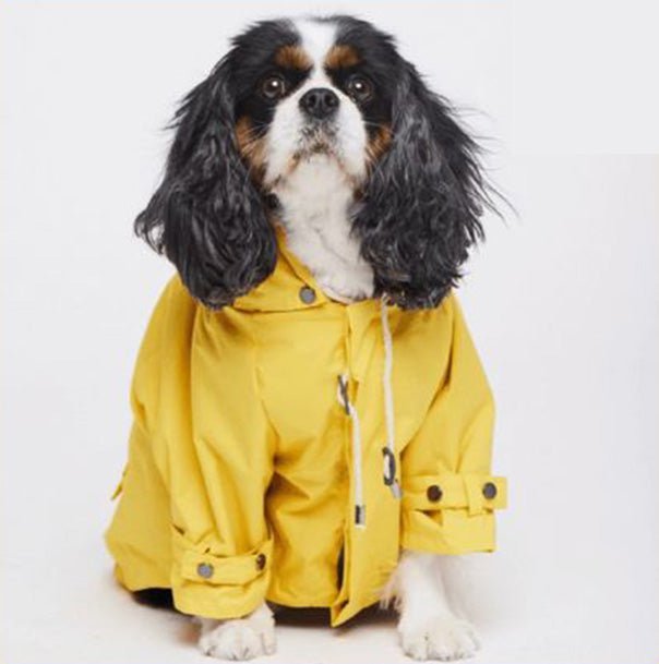 maxbone マックスボーン 犬 レインコート |犬用ウェア|maxbone マックスボーン 犬 レインコート  - Alice's Dog & Catproduct_type