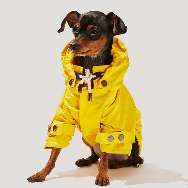 maxbone マックスボーン 犬 レインコート |犬用ウェア|maxbone マックスボーン 犬 レインコート  - Alice's Dog & Catproduct_type