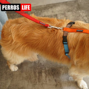 犬リード PERROS - 多用途リーシュ | 長さ1.2M, 1.4M, 3Mの選べるリード|ペット用リード