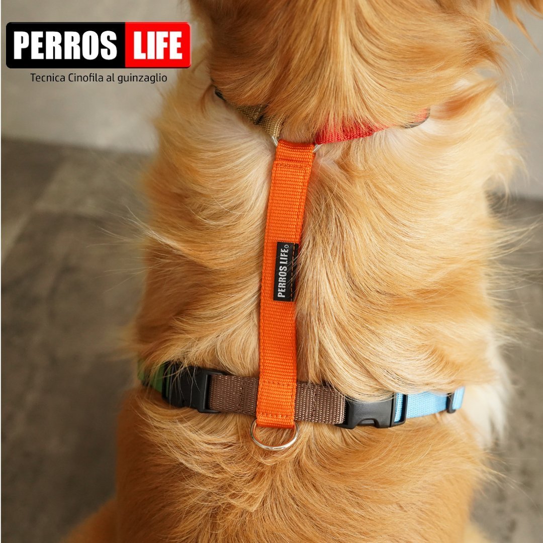 犬用ハーネス PERROS - マルチカラー8サイズ|ペット用首輪・ハーネス|犬用ハーネス PERROS - マルチカラー8サイズ|ペット用首輪・ハーネス|犬用ハーネス 獣医師推奨 首を通さない簡単装着 おしゃれで機能的 犬の負担ゼロ どんな犬種にも対応 ペルロス公式