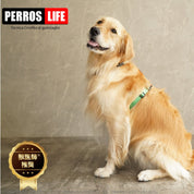 犬用ハーネス PERROS - 獣医師推奨 犬の体に負担が少ない|ペット用ハーネス