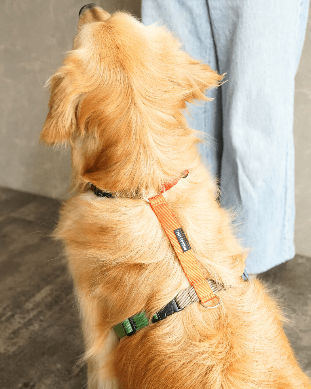 犬用ハーネス PERROS - マルチカラー8サイズ|ペット用首輪・ハーネス|犬用ハーネス PERROS - マルチカラーで選べる8サイズの快適ハーネス