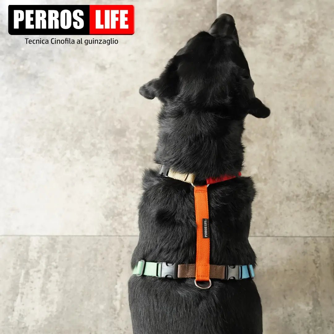 犬用ハーネス PERROS - 獣医師推奨 犬の体に負担が少ない|ペット用ハーネス