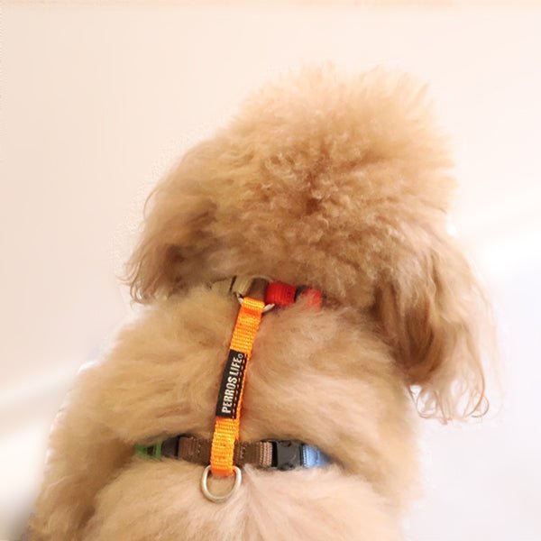 犬用ハーネス PERROS - マルチカラー8サイズ|ペット用首輪・ハーネス|犬用ハーネス PERROS - 獣医師推奨 犬の体に負担が少ない|ペット用ハーネス