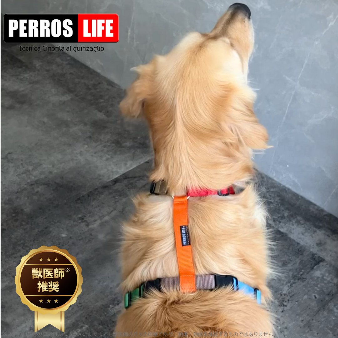 犬用ハーネス PERROS - マルチカラー8サイズ|ペット用首輪・ハーネス|犬用ハーネス 獣医師推奨 首を通さない簡単装着 おしゃれで機能的 犬の負担ゼロ どんな犬種にも対応 ペルロス公式
