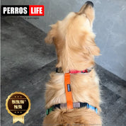 犬用ハーネス PERROS - マルチカラー8サイズ|ペット用首輪・ハーネス|犬用ハーネス 獣医師推奨 首を通さない簡単装着 おしゃれで機能的 犬の負担ゼロ どんな犬種にも対応 ペルロス公式