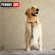犬用ハーネス PERROS - 獣医師推奨 犬の体に負担が少ない|ペット用ハーネス
