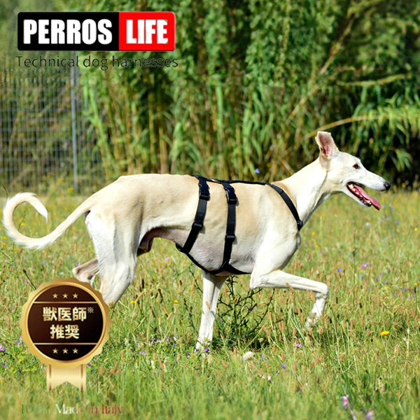 犬用ハーネス  PERROSドピアッカハーネス 胸が深い犬用 グレーハウンド用 抜けにくい 脱走防止