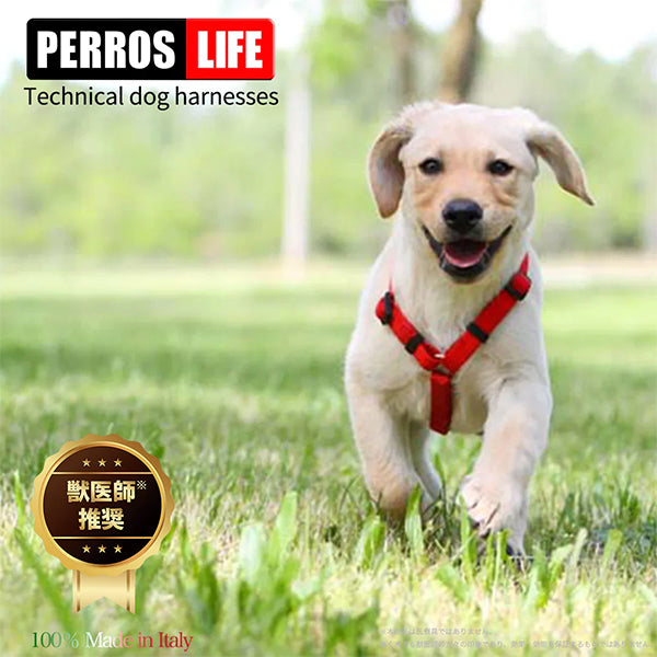 犬用ハーネス PERROS ペルロス ハーネス H型 Y型ハーネスの進化系 (超 