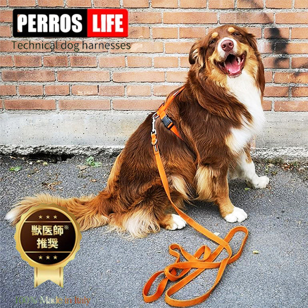 犬ハーネス PERROS 首を通さないH型Y型ハーネス イタリア製 犬の体に優しい
