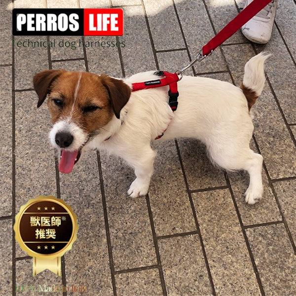 犬用ハーネス PERROS ペルロス ハーネス H型 Y型ハーネスの進化系 (超小型犬, 中型犬, 大型犬)