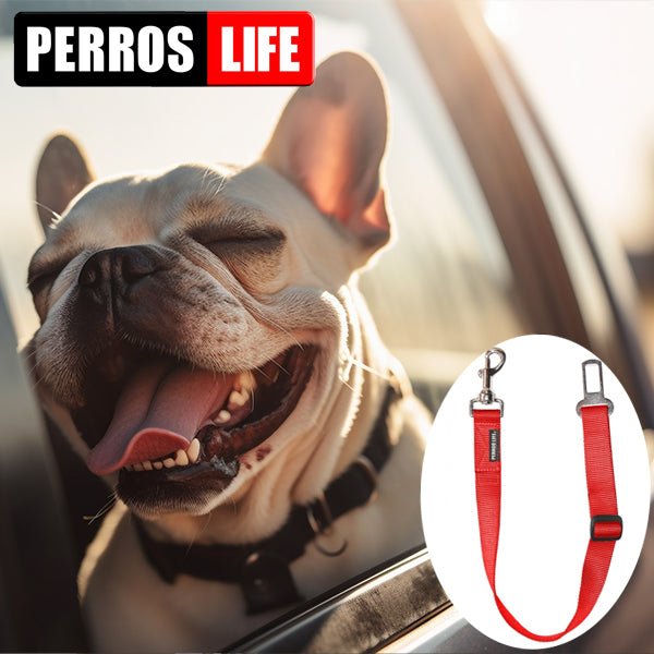 犬用 PERROS - 車用シートベルトリーシュ | 安全なドライブ用リード|ペット用リード