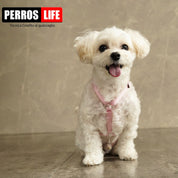 犬用ハーネス PERROS - 獣医師推奨ハーネス 犬の体に負担が少ない|ペット用首輪・ハーネス マルチーズ