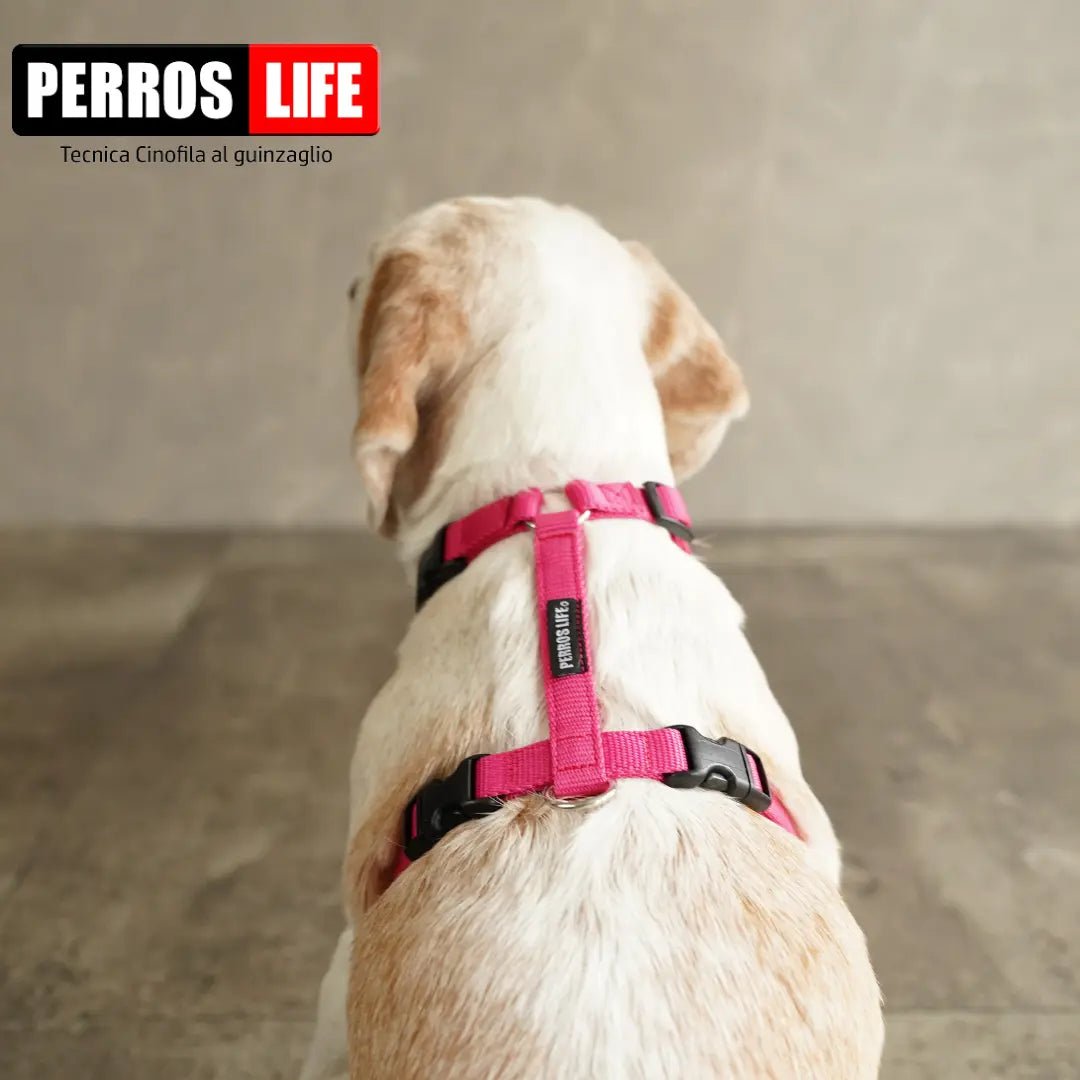 犬用ハーネス PERROS - 獣医師推奨ハーネス 犬の体に負担が少ない|ペット用首輪・ハーネス ビーグル