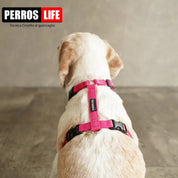 犬用ハーネス PERROS - 獣医師推奨ハーネス 犬の体に負担が少ない|ペット用首輪・ハーネス ビーグル