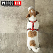 犬用ハーネス PERROS - 獣医師推奨ハーネス 犬の体に負担が少ない|ペット用首輪・ハーネス ジャックラッセル