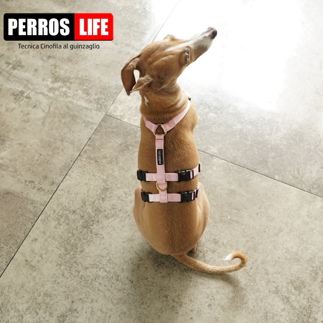 犬用ハーネス PERROS - 胸深く腹部細い犬用ドピアッカハーネス|ペット用首輪・ハーネス|