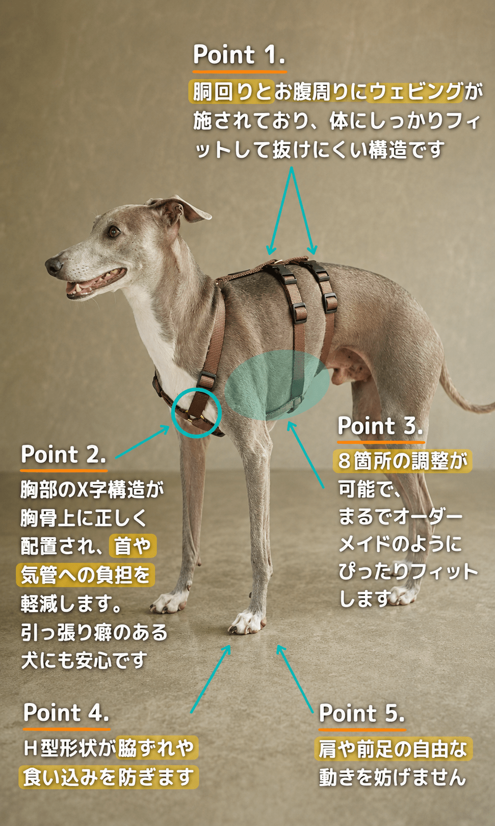 犬用ハーネス PERROS - 胸深く腹部細い犬用ドピアッカハーネス|ペット用首輪・ハーネス|犬用ハーネス PERROS - 胸深く腹部細い犬用ドピアッカハーネス