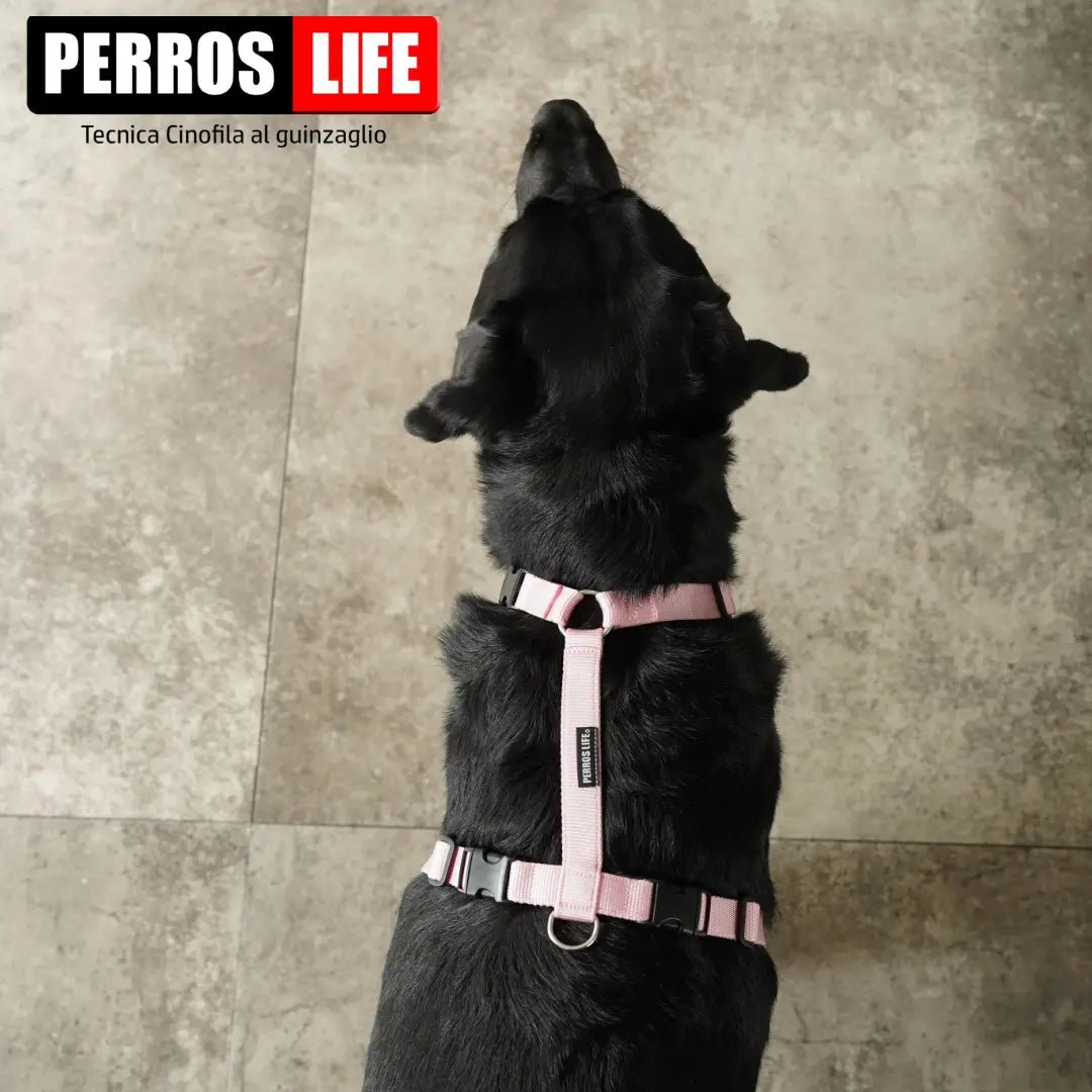 犬用ハーネス PERROS - 獣医師推奨ハーネス 犬の体に負担が少ない|ペット用首輪・ハーネス ラブラドール
