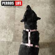 犬用ハーネス PERROS - 獣医師推奨ハーネス 犬の体に負担が少ない|ペット用首輪・ハーネス ラブラドール