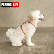 犬用ハーネス PERROS - 獣医師推奨ペルロスハーネス|ペット用首輪・ハーネス|脇スレない